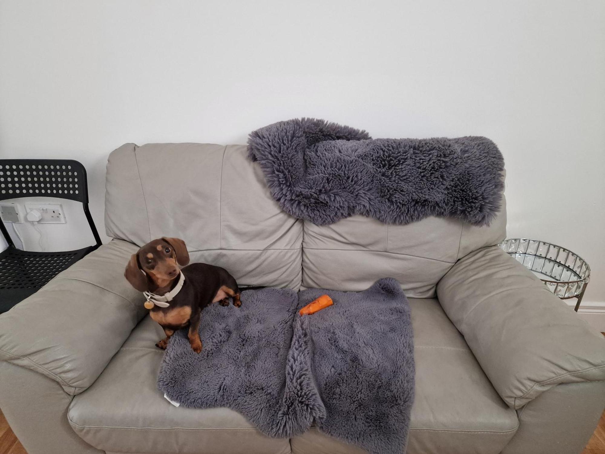 Aunty Katie'S House, Ni Tourist Board Certified & Located On The Main Oldpark Road To Belfast, With Free Continental Breakfast & Free Ultra Fast Sky Internet, Free Sky Sports & Free Sky Cinema, Self-Check In After 10Pm Gmt Hostel Екстериор снимка