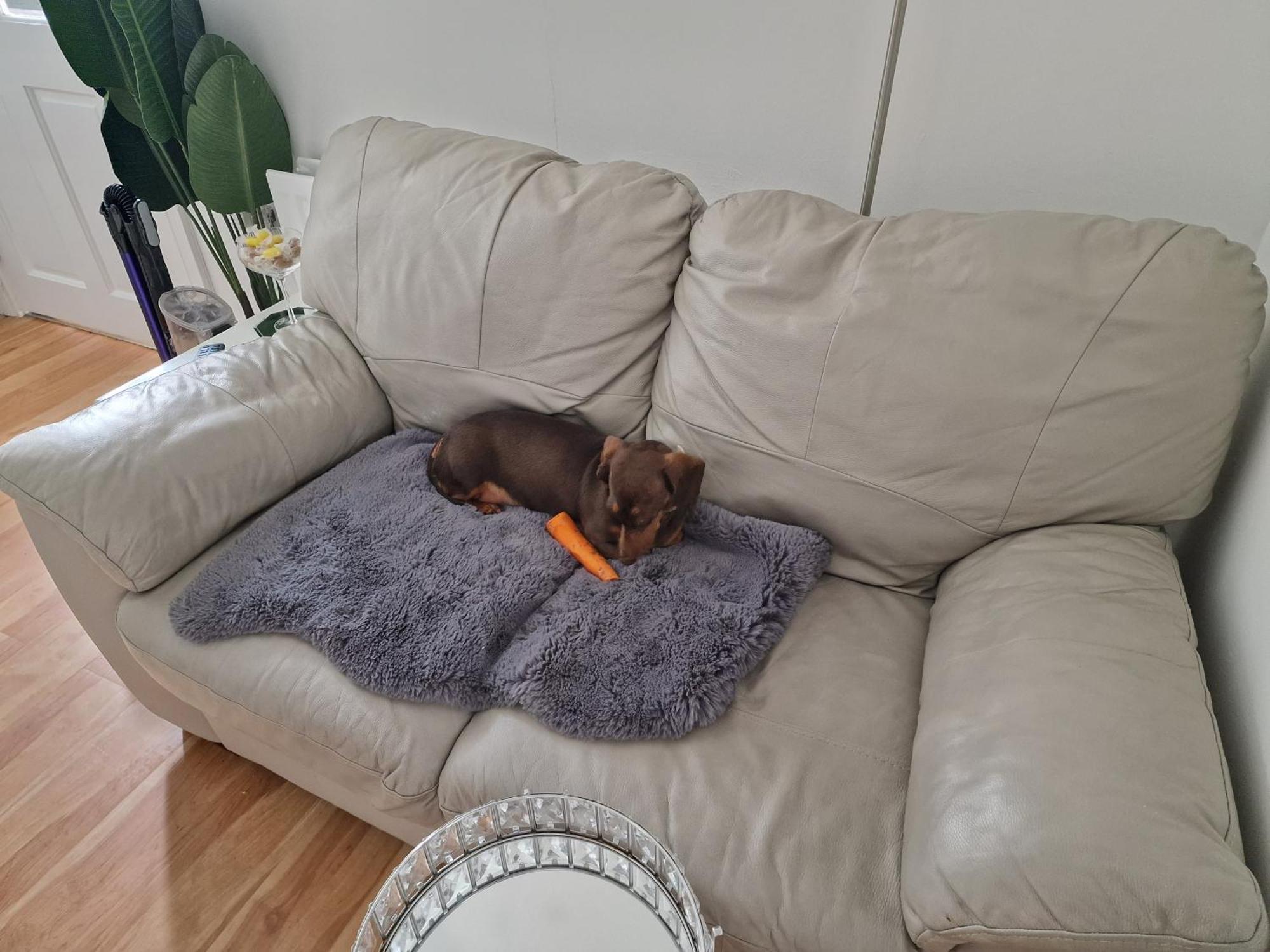 Aunty Katie'S House, Ni Tourist Board Certified & Located On The Main Oldpark Road To Belfast, With Free Continental Breakfast & Free Ultra Fast Sky Internet, Free Sky Sports & Free Sky Cinema, Self-Check In After 10Pm Gmt Hostel Екстериор снимка